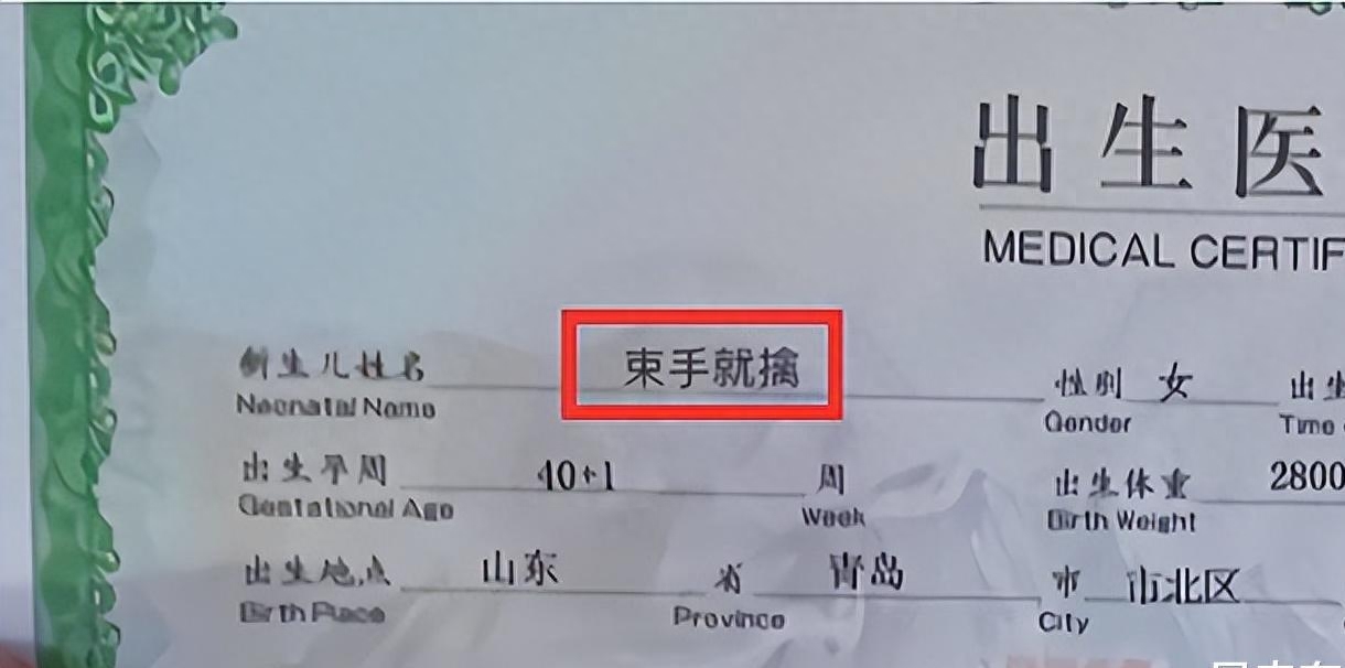 奇葩名字游戏名字大全_游戏奇葩名字_奇葩名字游戏大全