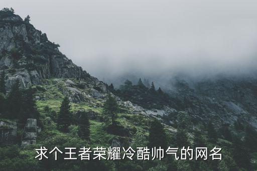 求个王者荣耀冷酷帅气的网名