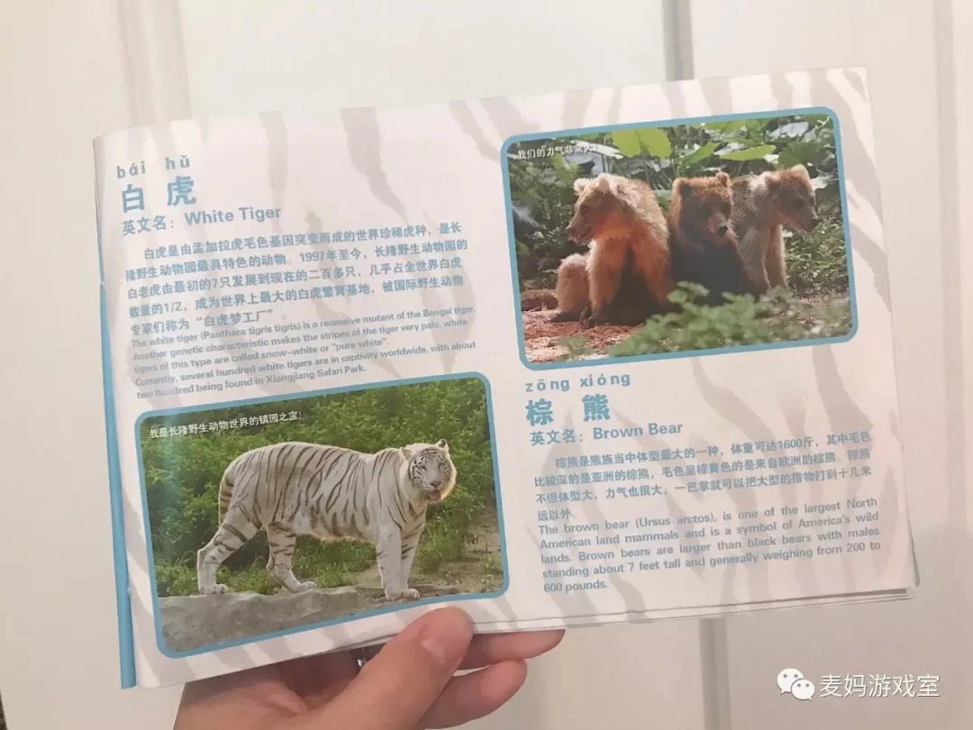 只能国内游，我写了超详细的广州长隆野生动物园游玩攻略（涵盖行程、酒店、季节、入园攻略）