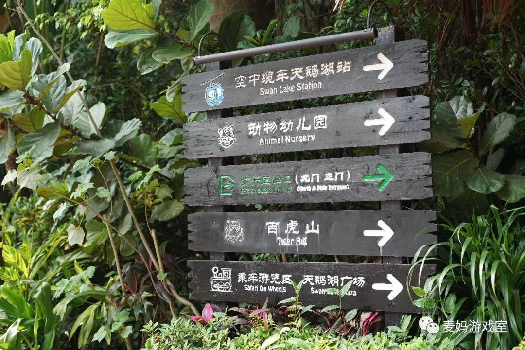 只能国内游，我写了超详细的广州长隆野生动物园游玩攻略（涵盖行程、酒店、季节、入园攻略）