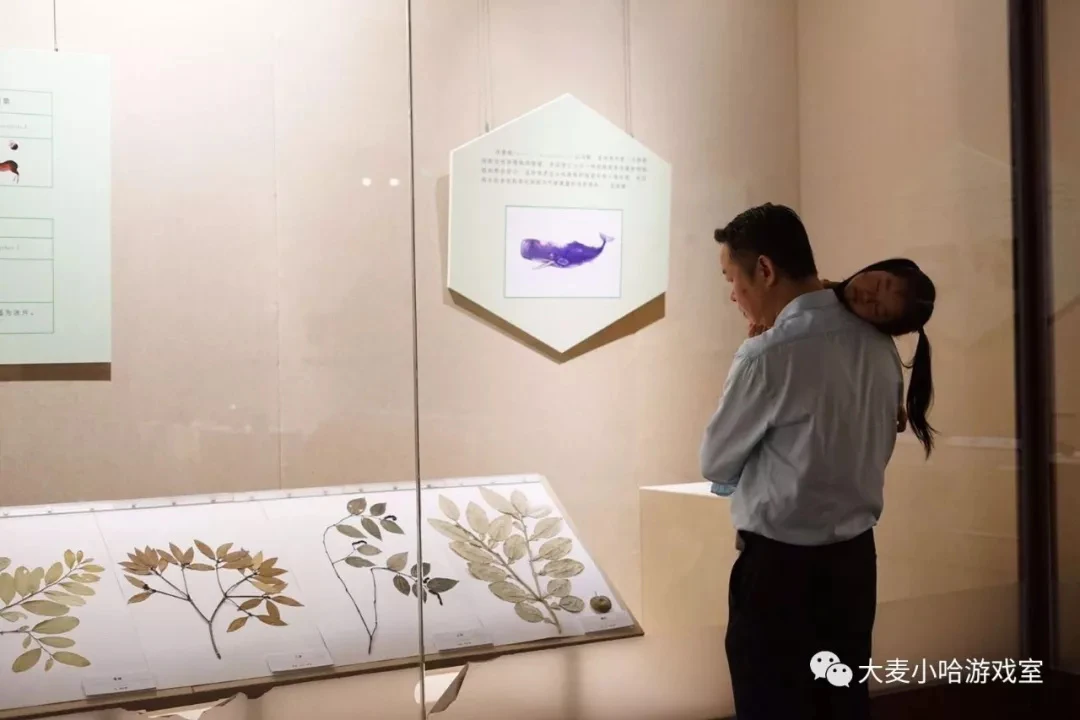 只能国内游，我写了超详细的广州长隆野生动物园游玩攻略（涵盖行程、酒店、季节、入园攻略）