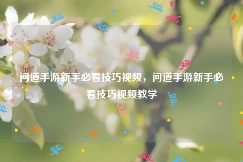 问道手游新手必看技巧视频，问道手游新手必看技巧视频教学